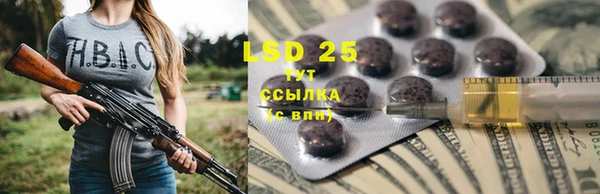 дживик Вяземский