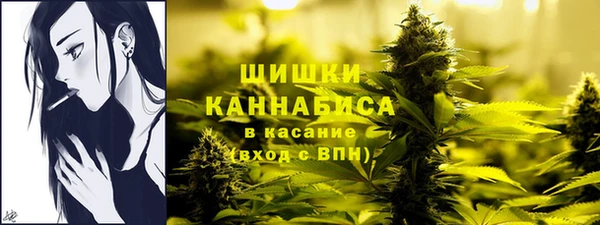 дживик Вяземский