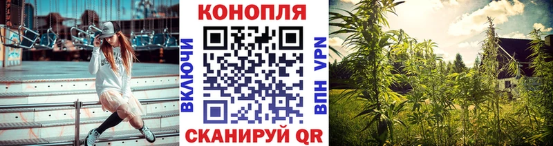 Купить где  Сурск  МАРИХУАНА сатива 